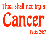 Sweatshirt or Hoodie: Thou Shall Not Try A Cancer Red Puff