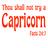 Sweatshirt or Hoodie: Thou Shall Not Try A Capricorn Red Puff