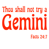 Sweatshirt or Hoodie: Thou Shall Not Try A Gemini Red Puff